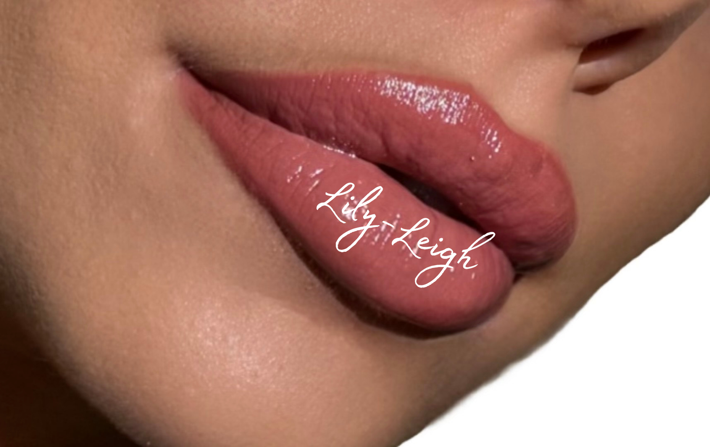 WHAT THE COLLECTION - THE ULITIMATE KIT