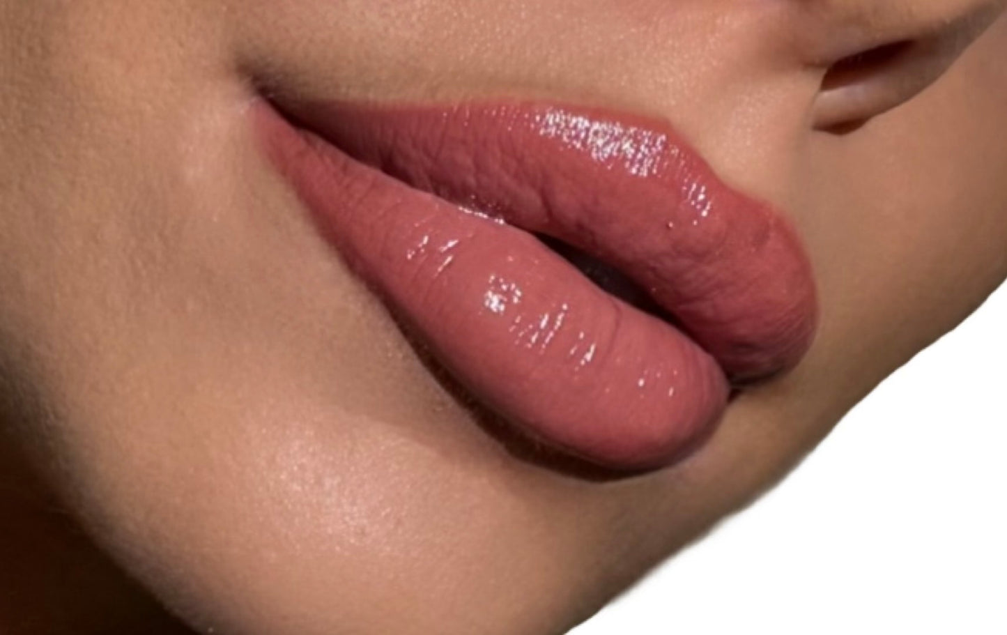 LILY-LEIGH - WHAT THE LIP KIT